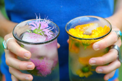 Test Article: Cocktail Recipes